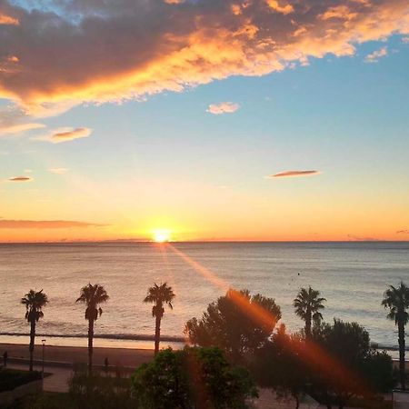 Sunrise Estudio Zebra, Con Vistas Jardin Y Mar Miami Playa Ngoại thất bức ảnh